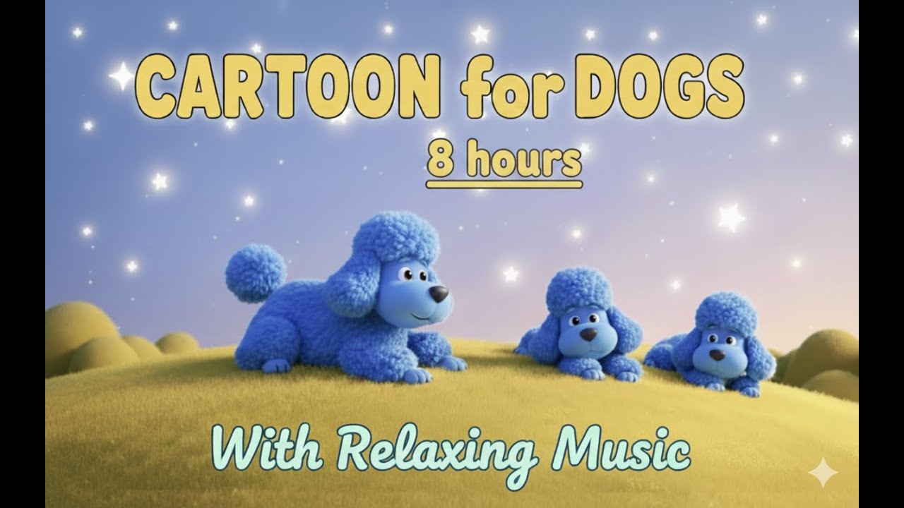 8 HOURS ⭐ - Calm Cartoon for DOGS in Colors they See 💙🐕+Relaxing Sleep Music 💤🌝