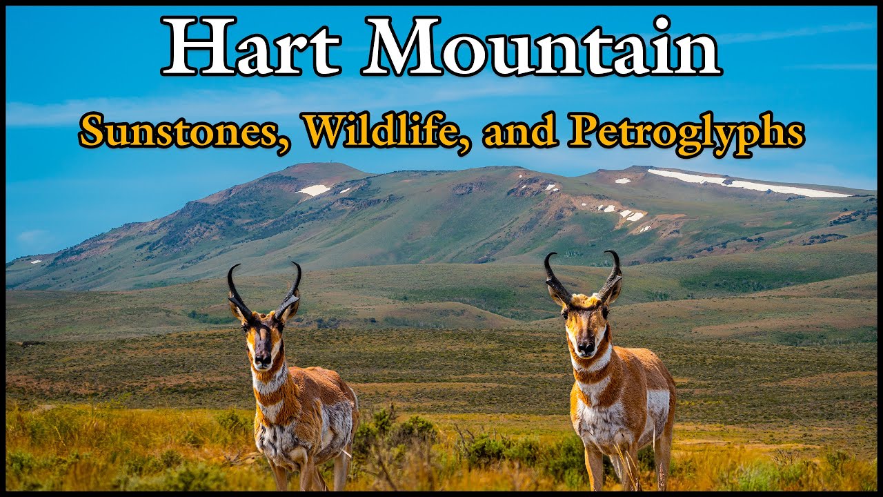 Hart Mountain: Sunstones, Wildlife and Petroglyphs