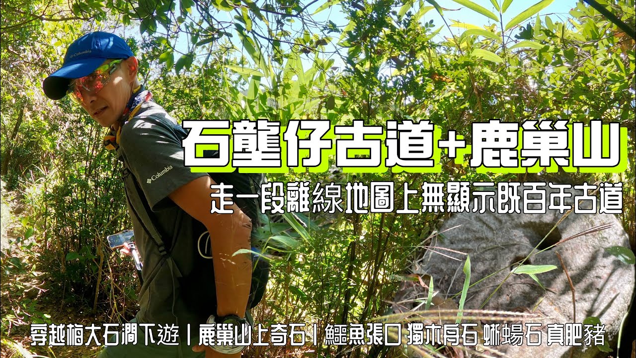 石壟仔古道+鹿巢山[行山郊遊好去處]4K走一段離線地圖上無顯示既百年古道｜穿越梅大石澗下遊｜鹿巢山上奇石｜鱷魚張口 獨木舟石 蜥蝪石 真肥豬｜觀音峒落大水坑｜馬鞍山行山郊遊路線