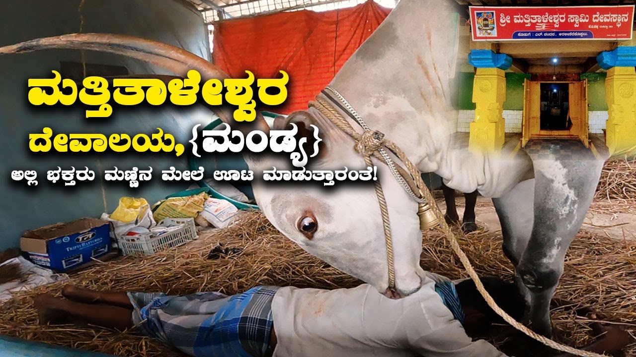 Mattitaleshwara Famous temple in Mandya ಮತ್ತಿತಾಳೇಶ್ವರ ದೇವಾಲಯ, ಮಂಡ್ಯ | Kannada Vlogs