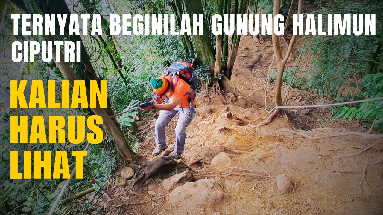 Gunung halimun ciputri Sukamakmur Bogor