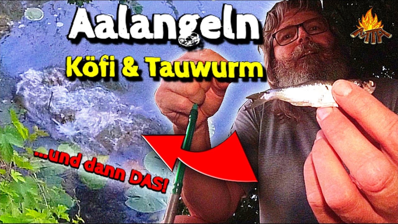 Schnell auf Aal & Zander angeln am kleinen Fluß