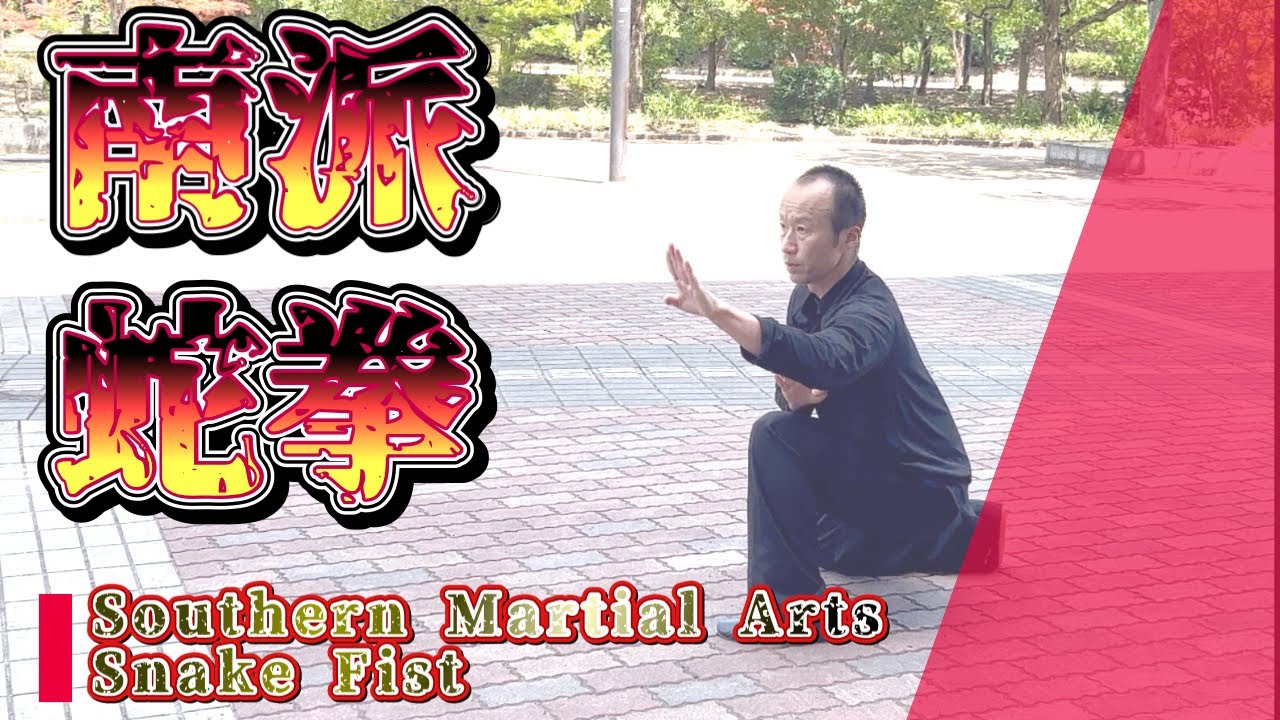 南派少林武術【蛇拳】象形拳（カンフーパンダなどに広く影響を与えたカンフー）
