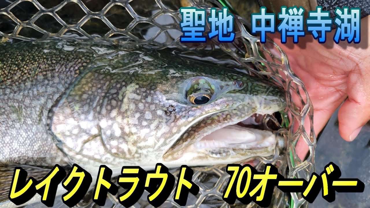 【中禅寺湖】日光 トラウトの聖地で釣り上げた77cmレイクトラウト