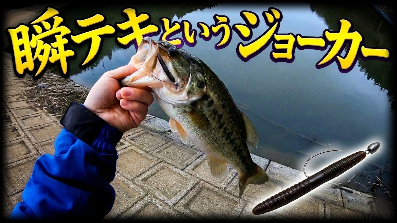 【瞬テキ】これはすなわちカバースキャットと同じ系統【ファットウィップ3インチ】