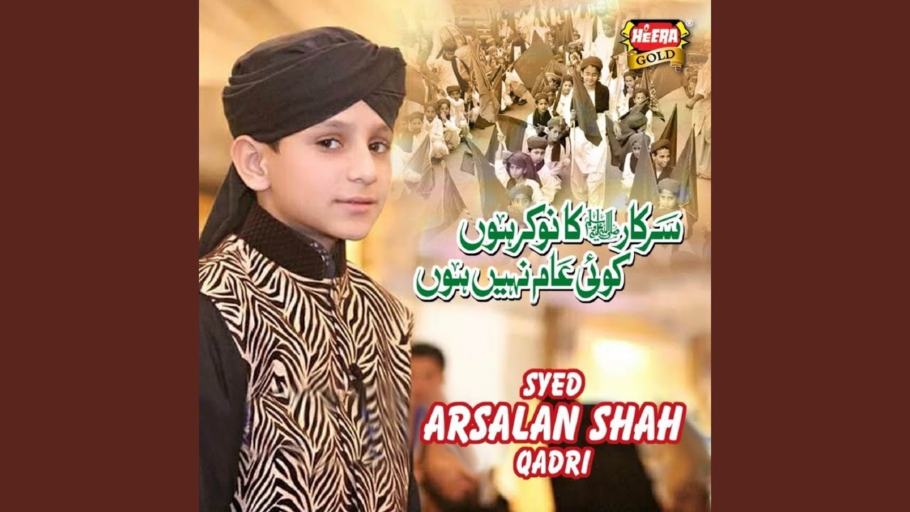 Sarkar Ka Nokar Hun
