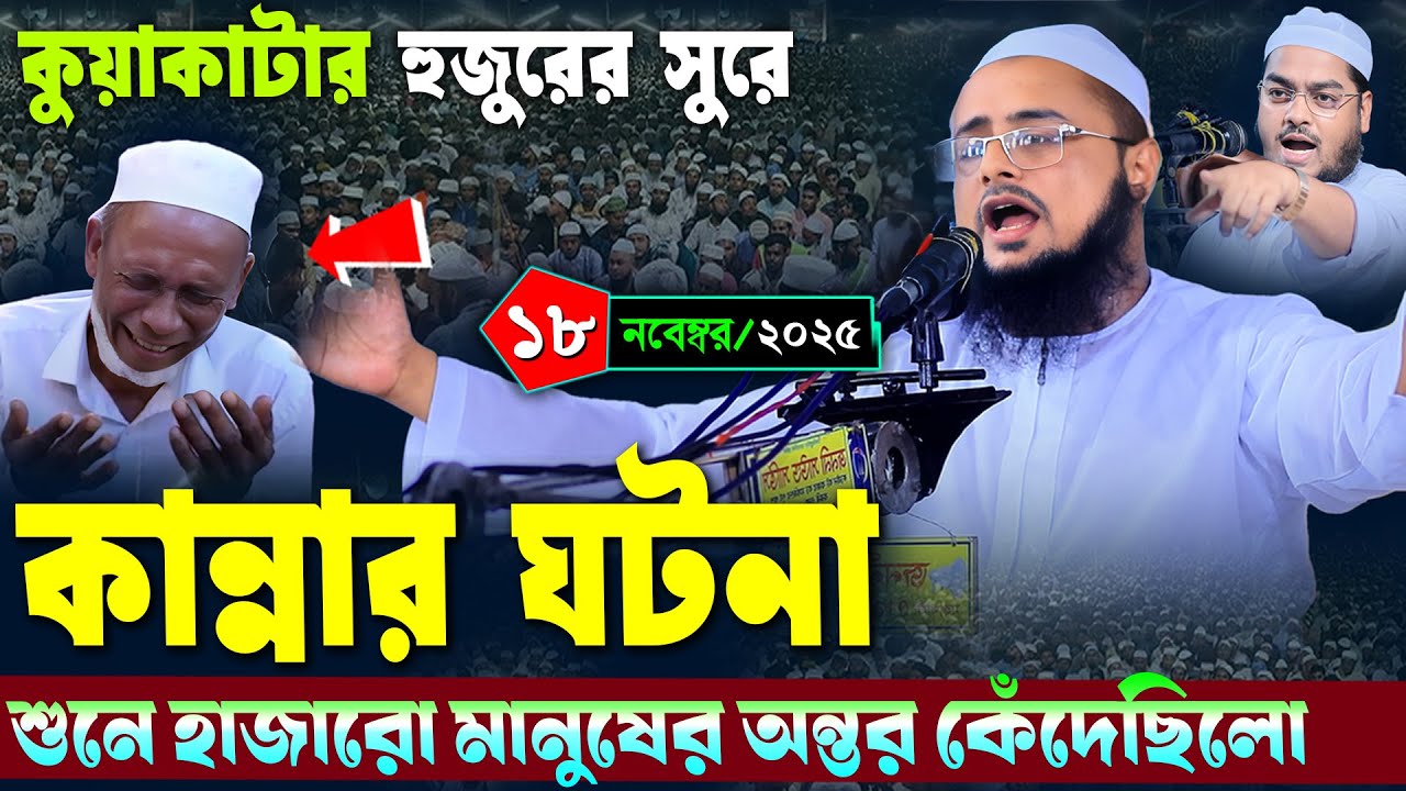 কুয়াকাটার হুজুরের সুরে কান্নার ওয়াজ | মাওলানা ক্বারী কাউসার আল হাবিব | Mawlana kawsar al habib
