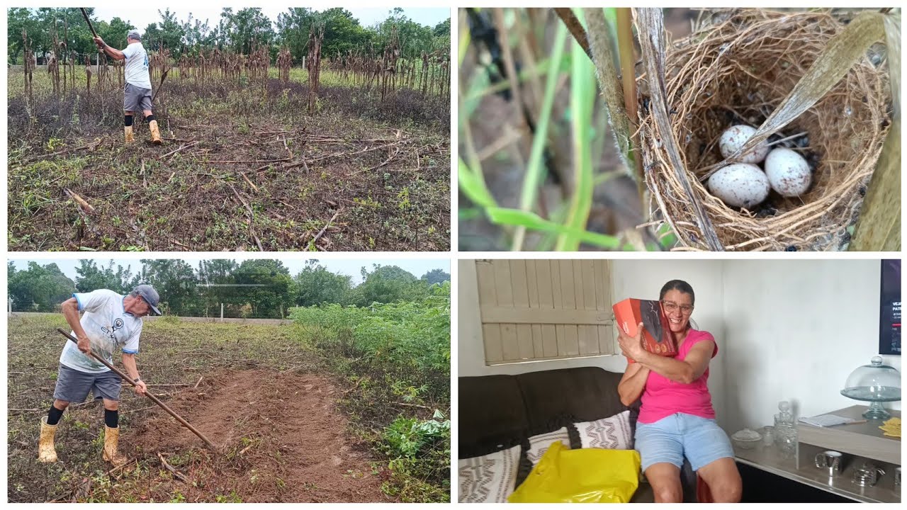 HOJE FOI DIA DE PLANTAR NOSSA ROÇA DE MILHO+ GANHAMOS PRESENTE