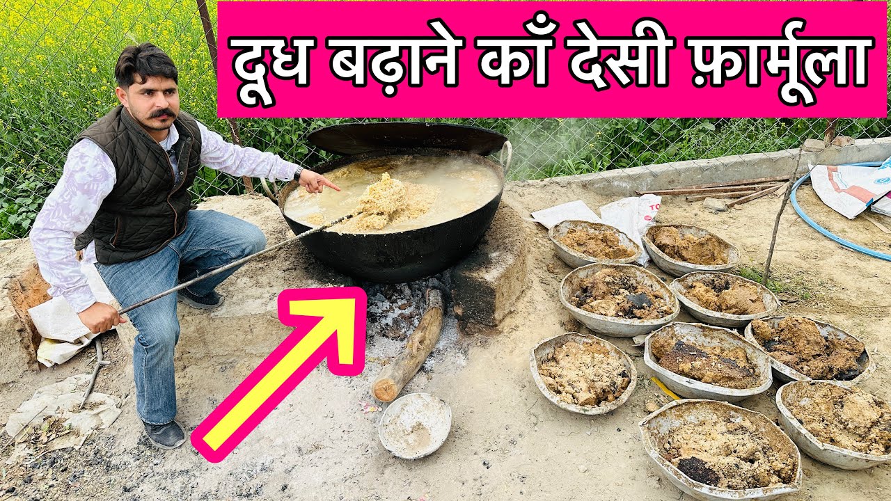 How to increase cow milk at Home || Low cost formula || Desi formula