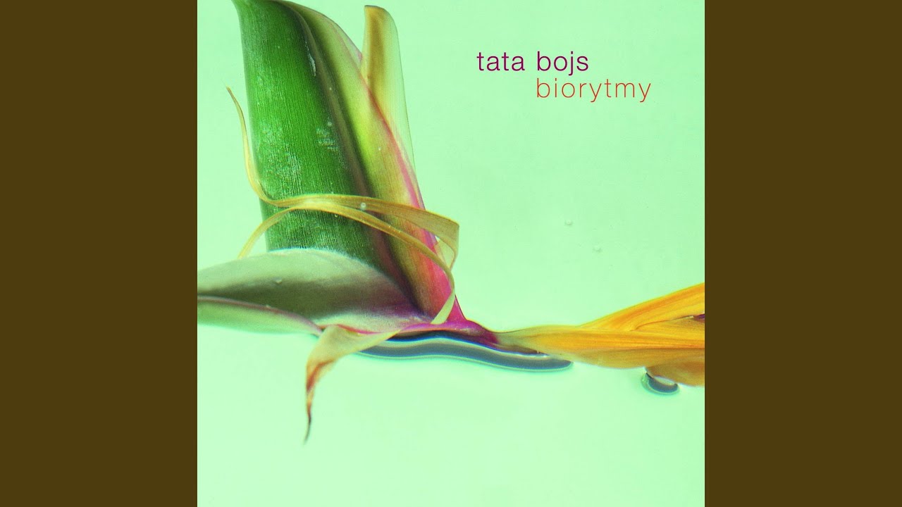 Dubov&aacute; psych&oacute;za