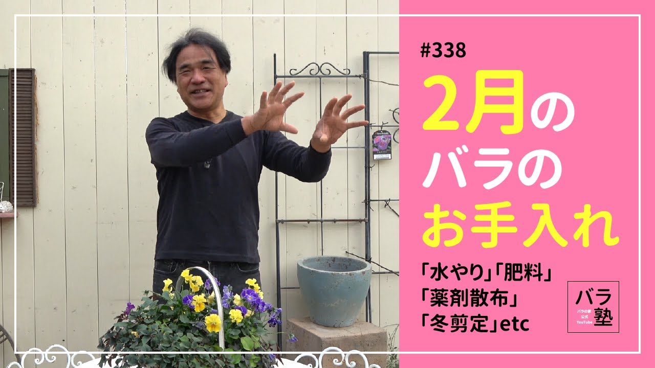 #338 2月のバラのお手入れ【バラの育て方：2月】