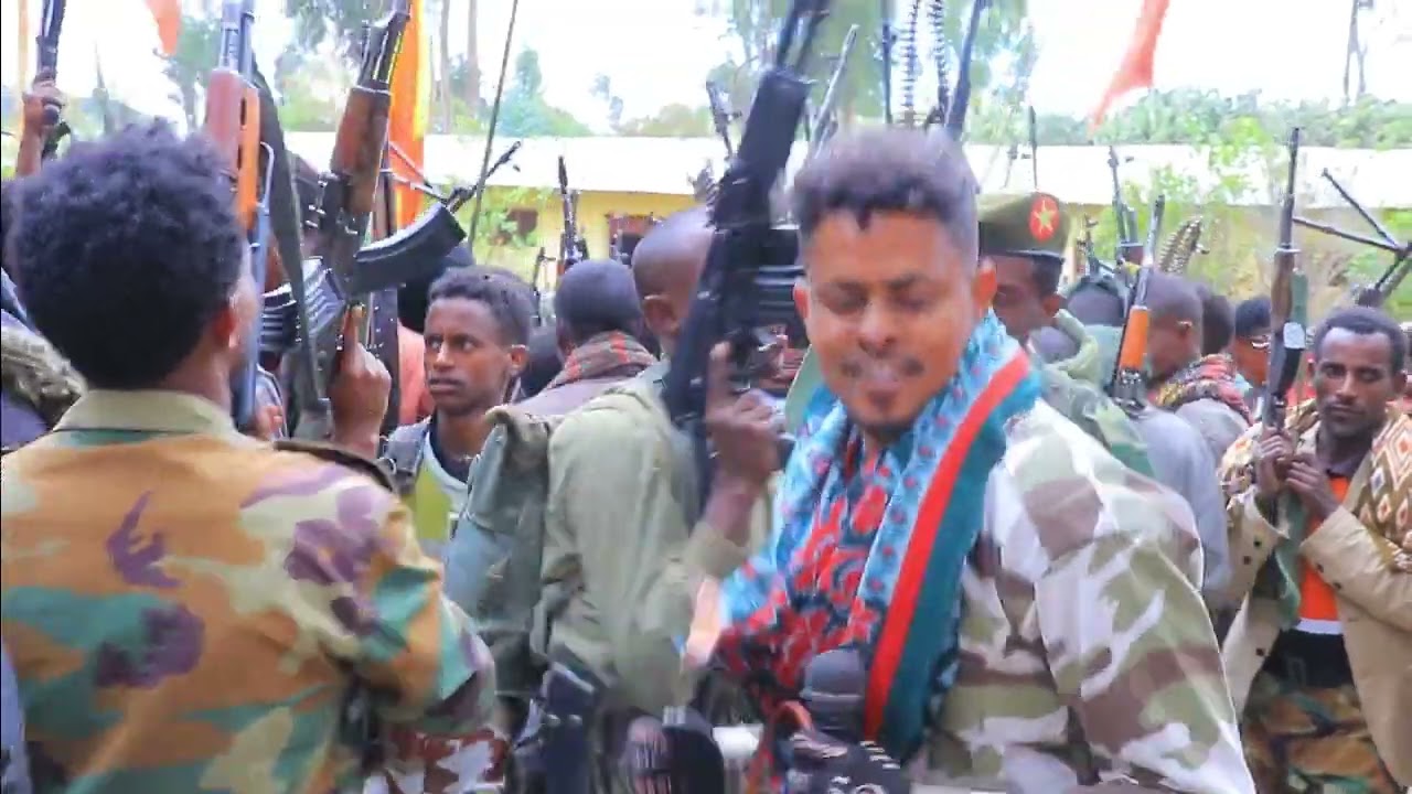 Tadis..ታዲስ (ኣንብርዎ)  2023 ኣብ ናይ TDF መድረክ ዝሰርሖ ብሉጽ ስራሕ, ሰራዊት ተጽሊሎም