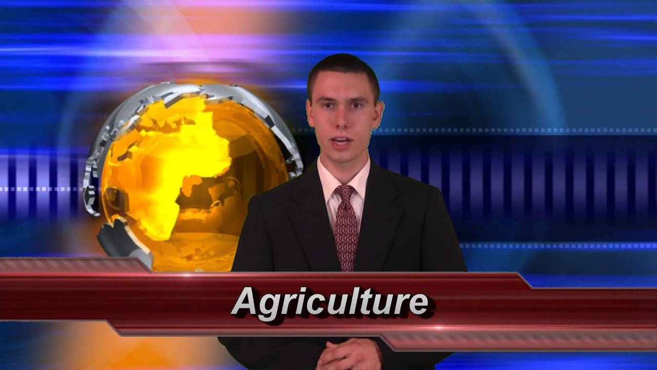 Industrial Development in Europe