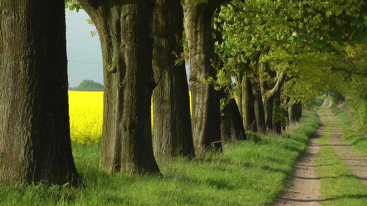 Ein Jahr im Naturpark Nossentiner/Schwinzer Heide - Impressionen