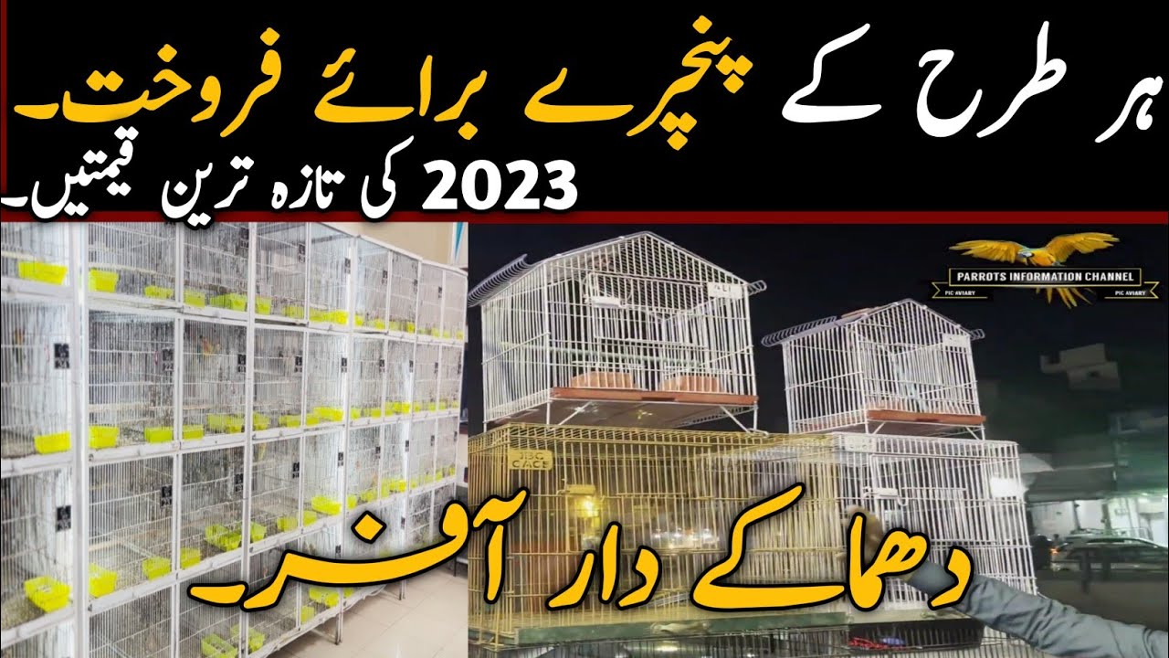 Cheap Price Birds Cages in Lahore Tollinten |Bird New Cages Wholesale Price | Cage Price in 2023