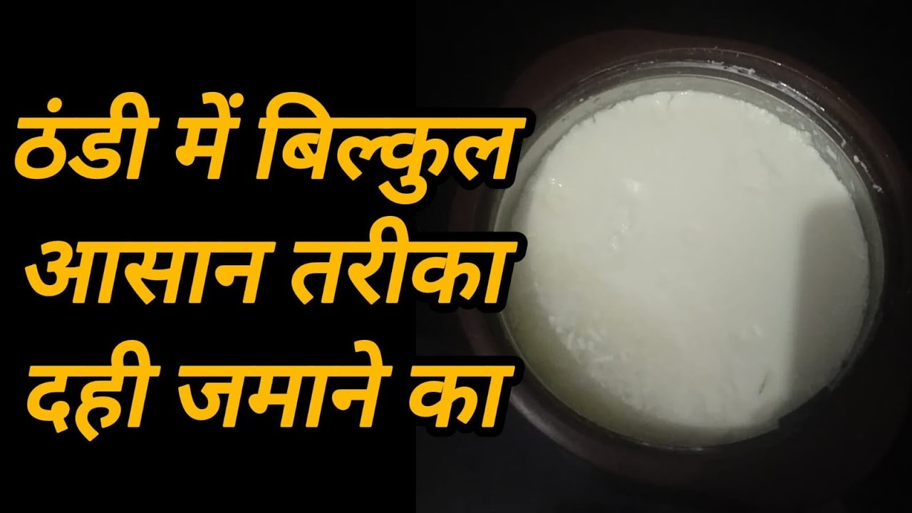 How to make curd in winter easily! Curd! Thick curd! How to make curd! 