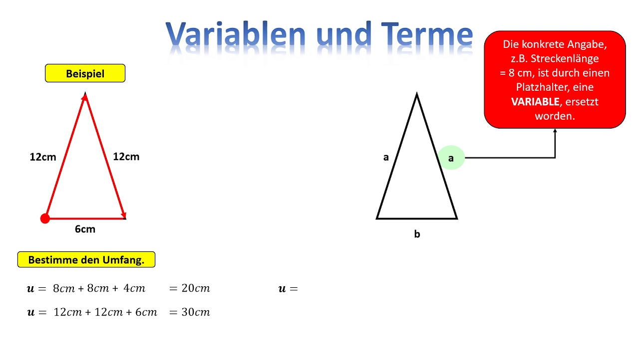 Variablen und Terme