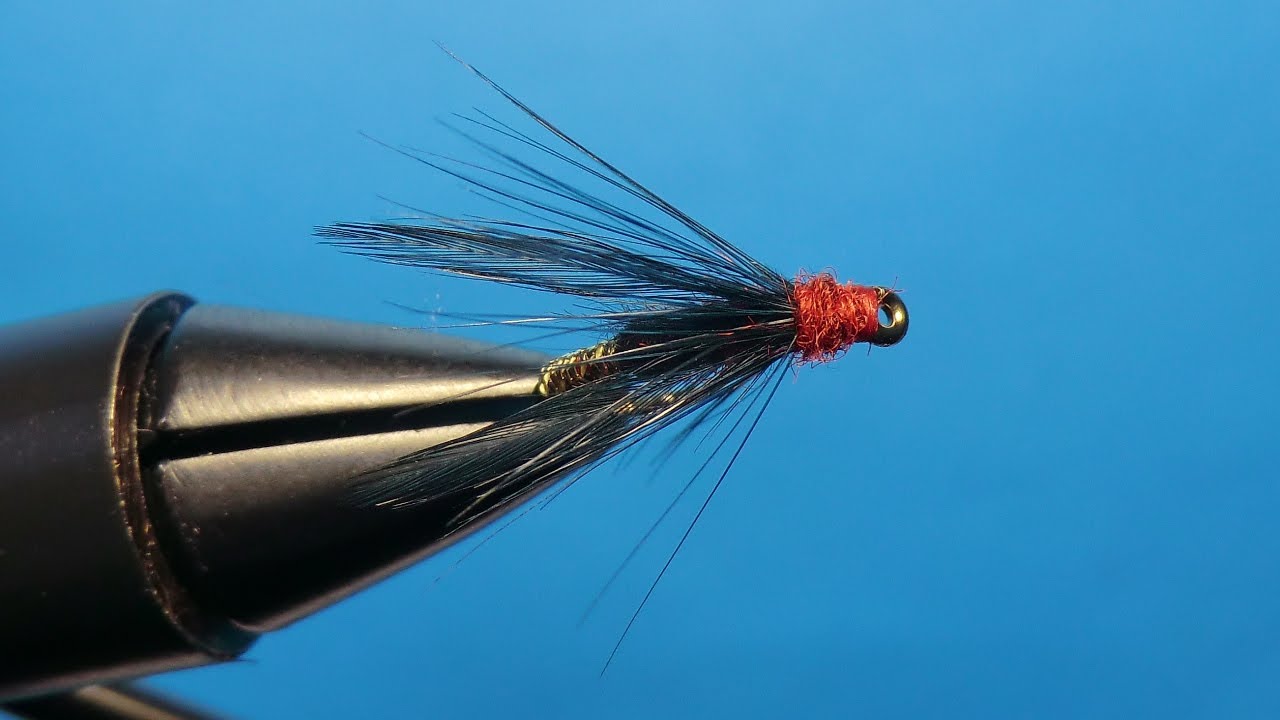 BLACKWINGS DRY by Giancarlo