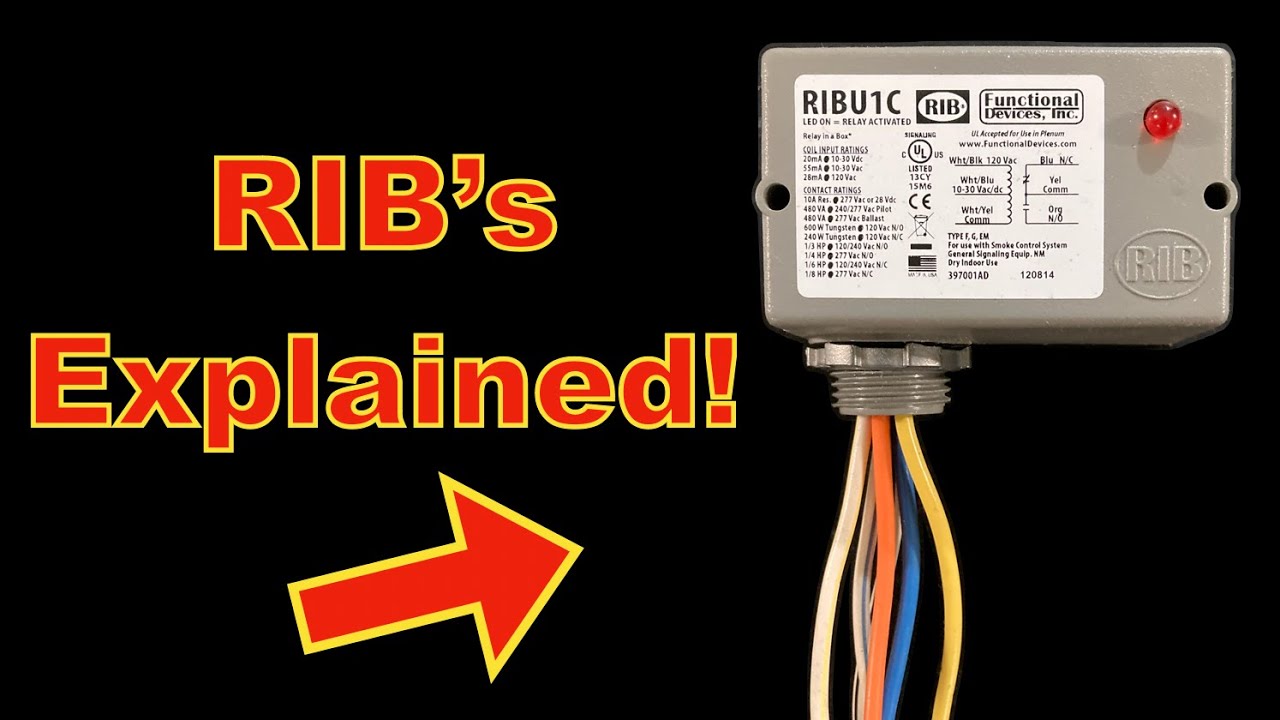 RIBS Explained | Relay in a Box