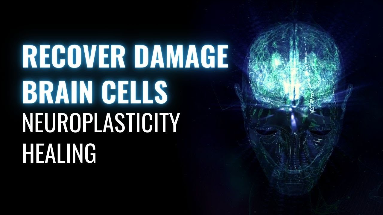 Regeneration of Neurons | Neuroplasticity Healing | Recover Damage Brain Cells | Binaural Beats Tone