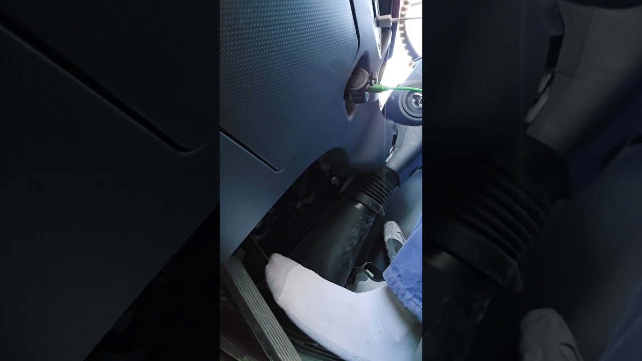 Socks driving the box truck POV drive 
