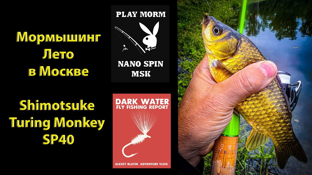 Мормышинг.  Лето в Москве. Shimotsuke Turing Monkey SP40.