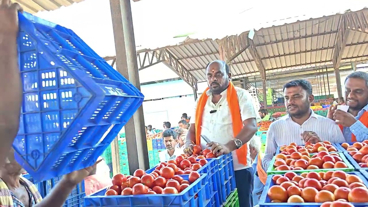 27/3/2026 n vaddahlli daily update market tamato 🍅 subscribe my channel like share comment please 🩵