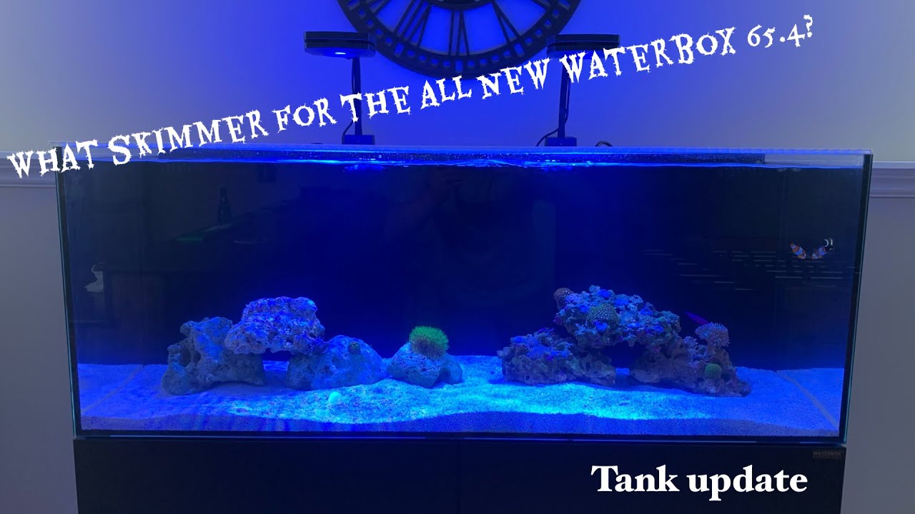 What skimmer for the all new waterbox 65.4? Tank update