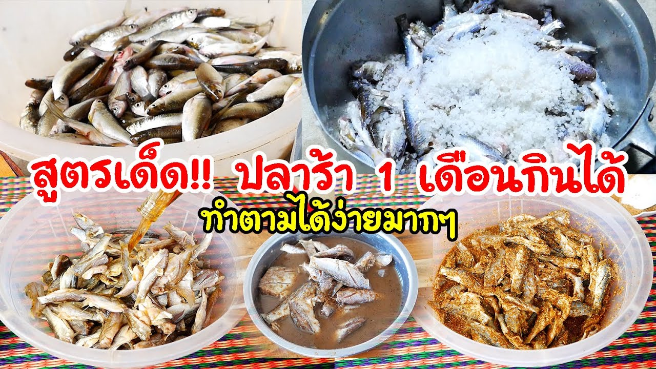 ปลาร้า วิธีทำปลาร้า ง่ายๆได้กินเร็วมาก แซ่บนัว!! Making fermented fish  by แม่มาลี - ครัวบ้านโนน