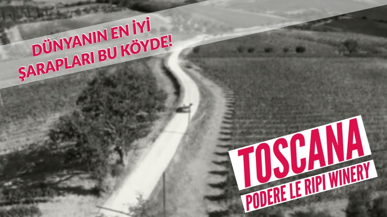Podere Le Ripi winery