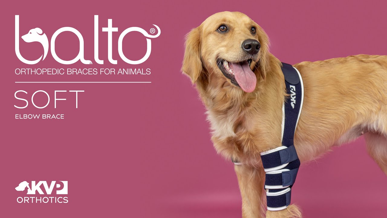 Balto® Soft – Elbow Brace