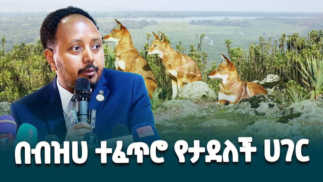 ስድስት አስርት ዓመታት ለብሔራዊ ፓርኮች፣ ለተፈጥሮ ሀብት ጥበቃና ሕገ-ወጥ የዱር እንስሳት ህልውና መሰረት የሆነው ተቋም @ethiopiannewsagency