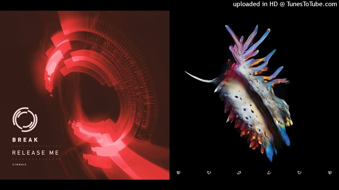 Break - Release Me x Sub Focus,MC ID - Alarm