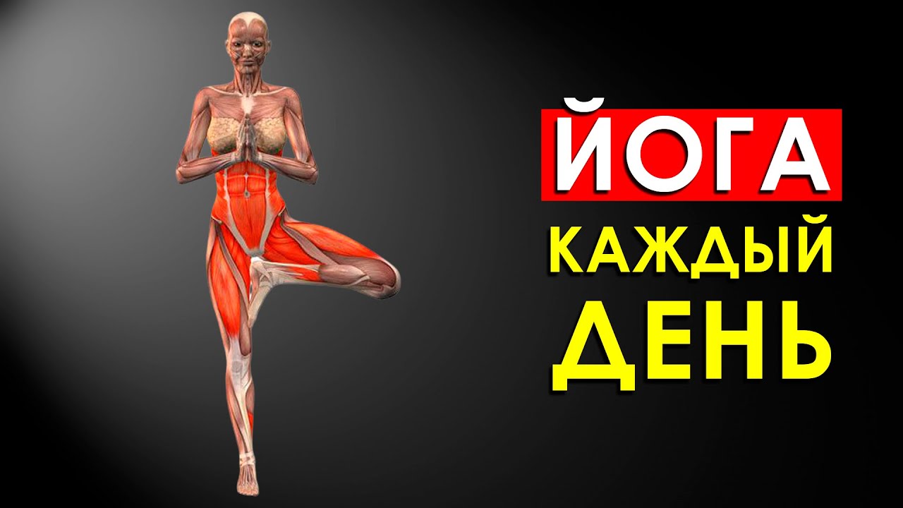 Что Будет с Телом, Если Заниматься Йогой Каждый день -- Йога для Начинающих