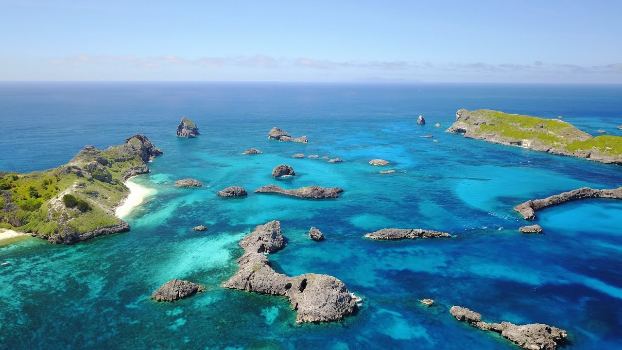 【ドローン空撮】小笠原の自然と仲間に感謝　Ogasawara Islands with recent friends, Whale videos on fishing and drones,