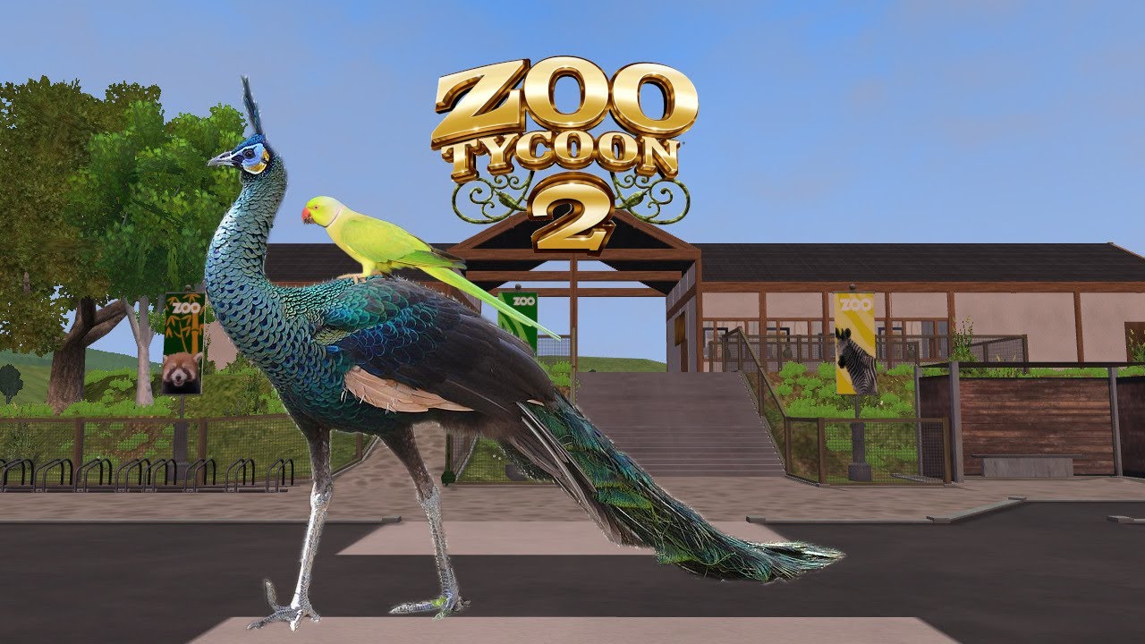 Zoo Tycoon 2: Terrace Hill Zoo - Episode 9 - Parakeet & Peafowl Aviary