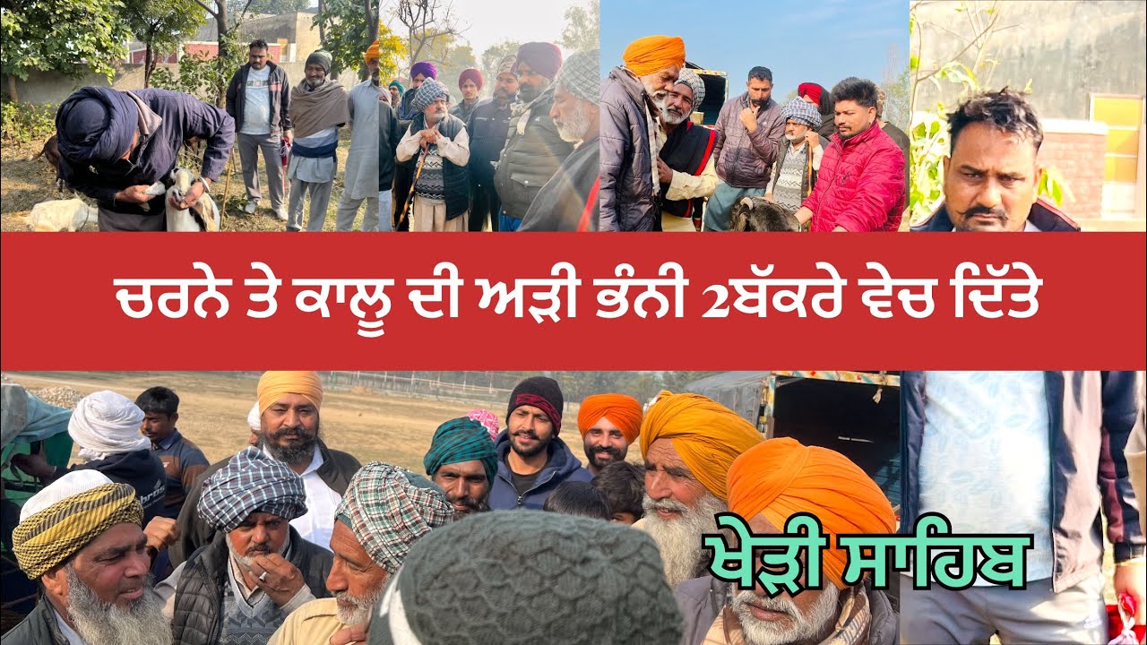 ਸਦੀਕ ਤੇ ਰਾਜੂ ਨੇ ਚਰਨੇ ਤੇ ਕਾਲੂ ਤੋਂ ਮੰਤਰ ਨਾਲ ਬੱਕਰੇ ਲੈ ਦਿੱਤੇ#bakramandi #naveedkhangoatfarm #goatfarming