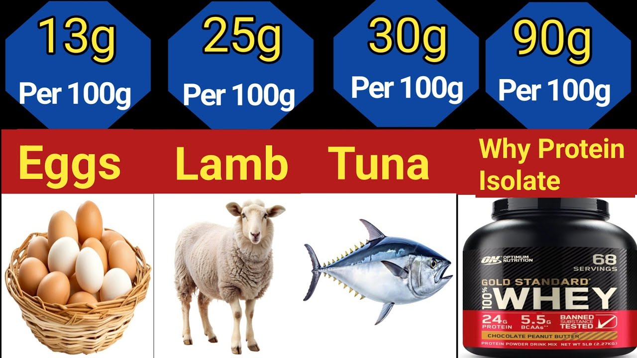 Highest PROTEIN Foods||
