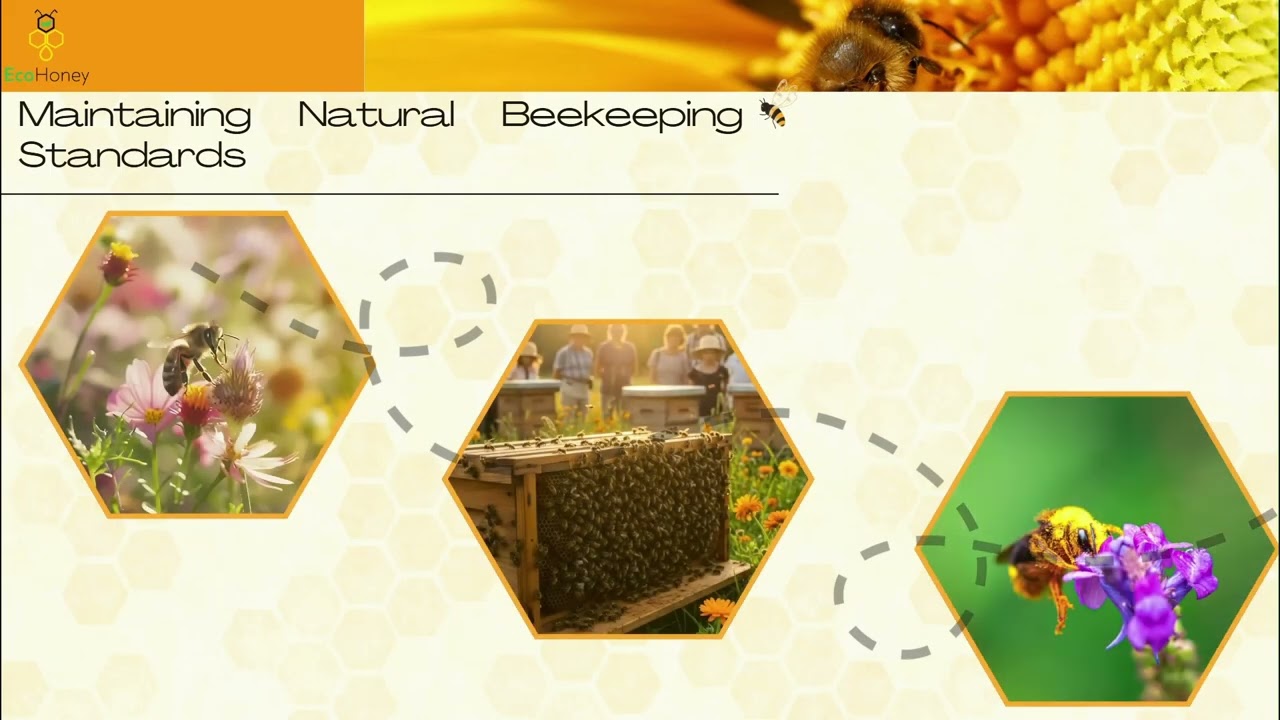 H1 - 1.4 - Starting Toolkit for Organic Honey Newcomers - Tuto