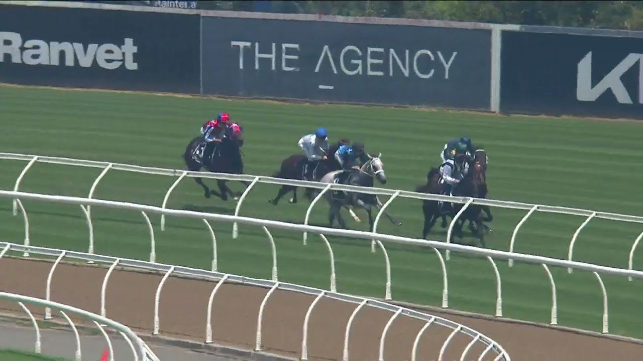 Canonbury Stakes 2026 - HIDRIX (2-летний, G3 SWP CG) Группа 3 Rosehill 31 января #скачки