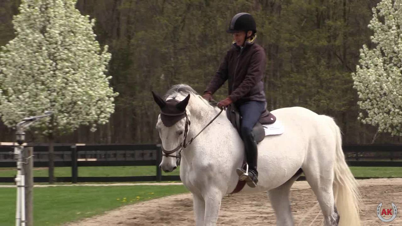 Anne Riding Cheval Z