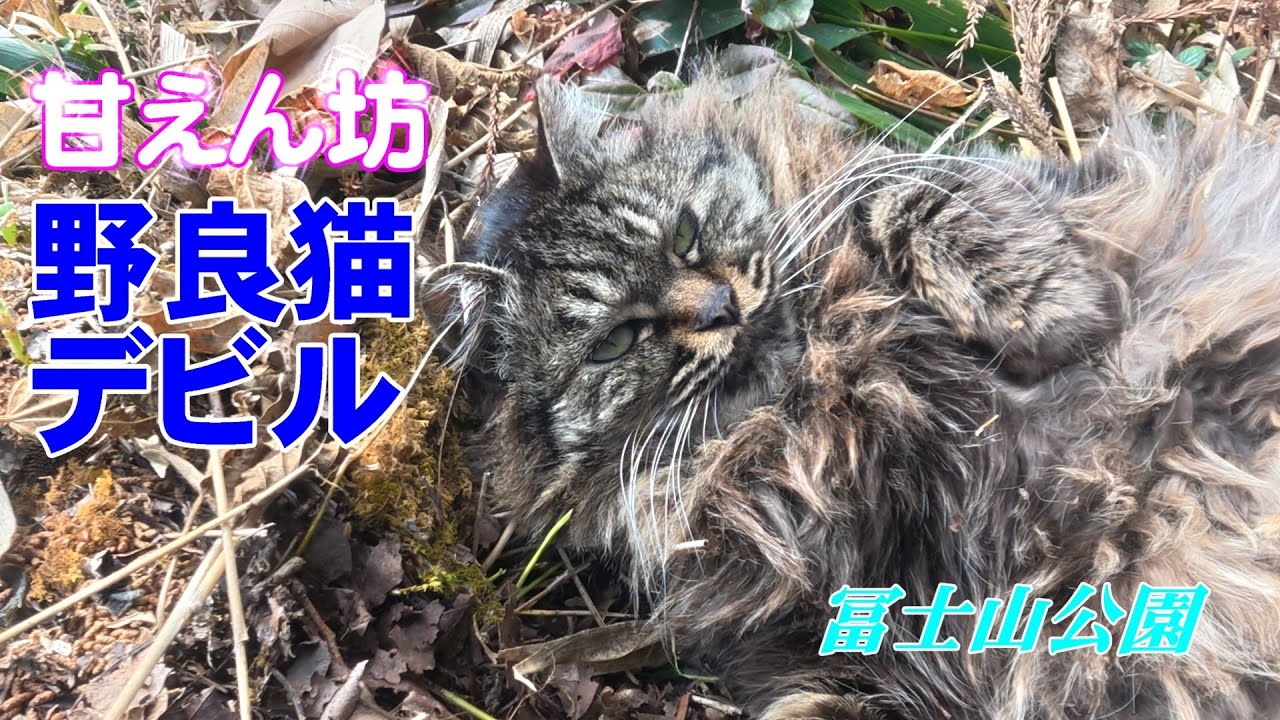 甘えん坊のデビル（大洲市冨士山公園）