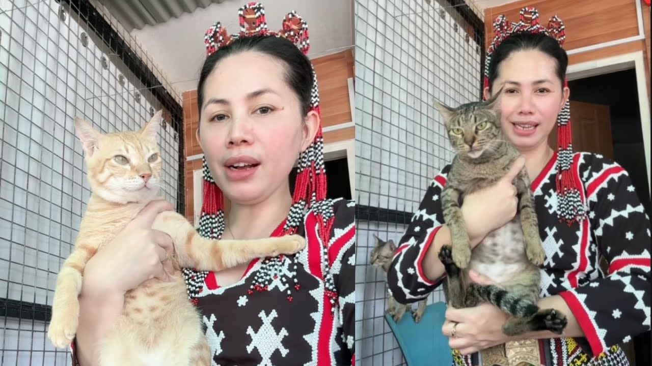 FIFI & MYEONG LIFE STORY | ABANDONED CAT | FUR MOM VLOG | MOMARENYANN
