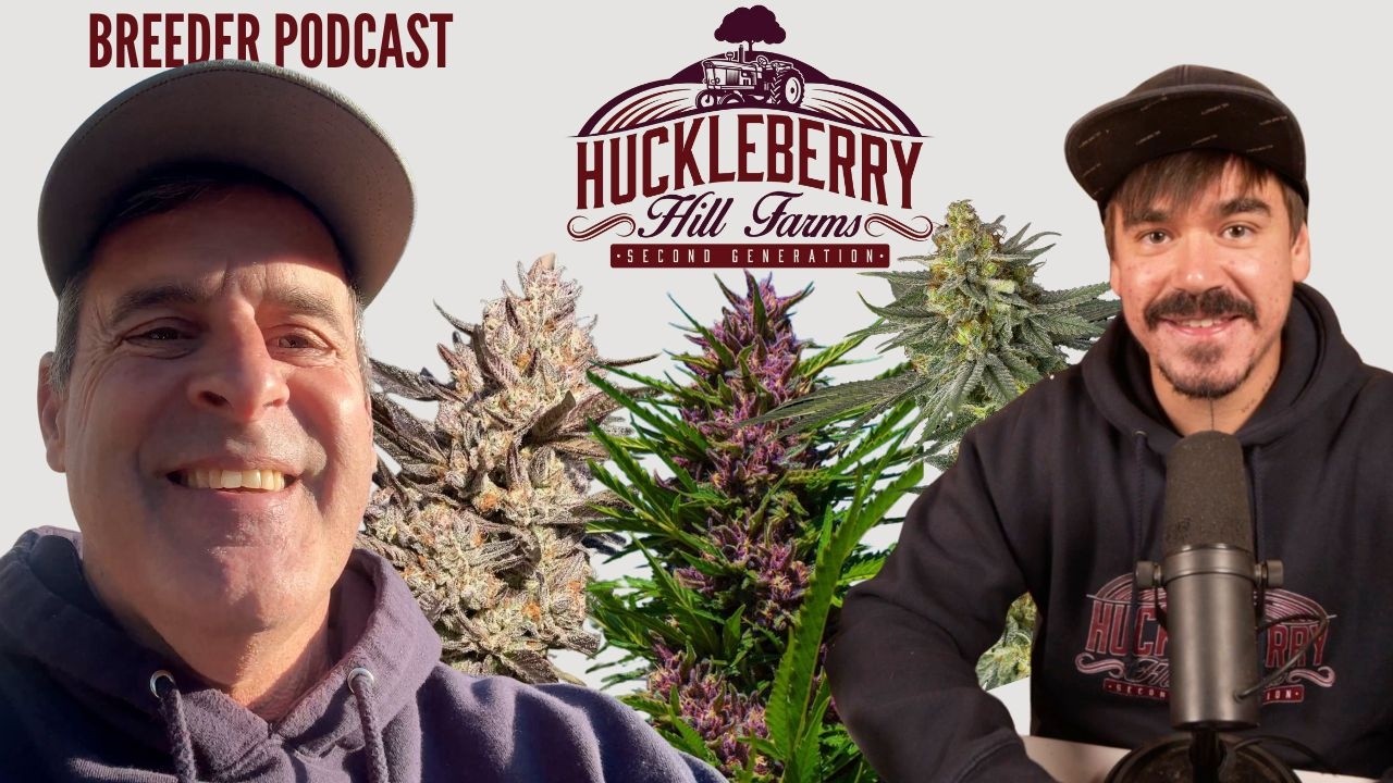 Huckleberry Hill Farms: The Breeder&rsquo;s Notebook | New Work, Old Favorites & Terps