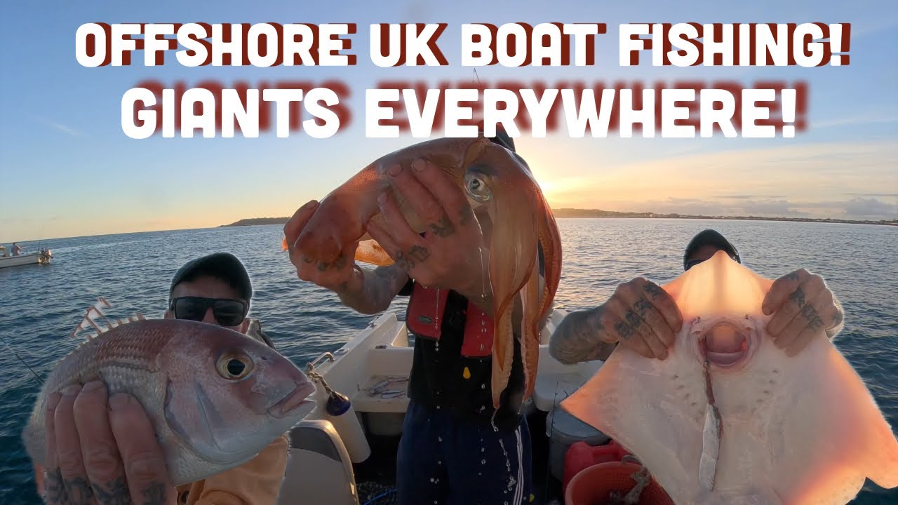 Offshore Fishing UK - BIG Rays, GIANT Squid, HUGE Couches Bream, Bluefin Tuna and much more!
