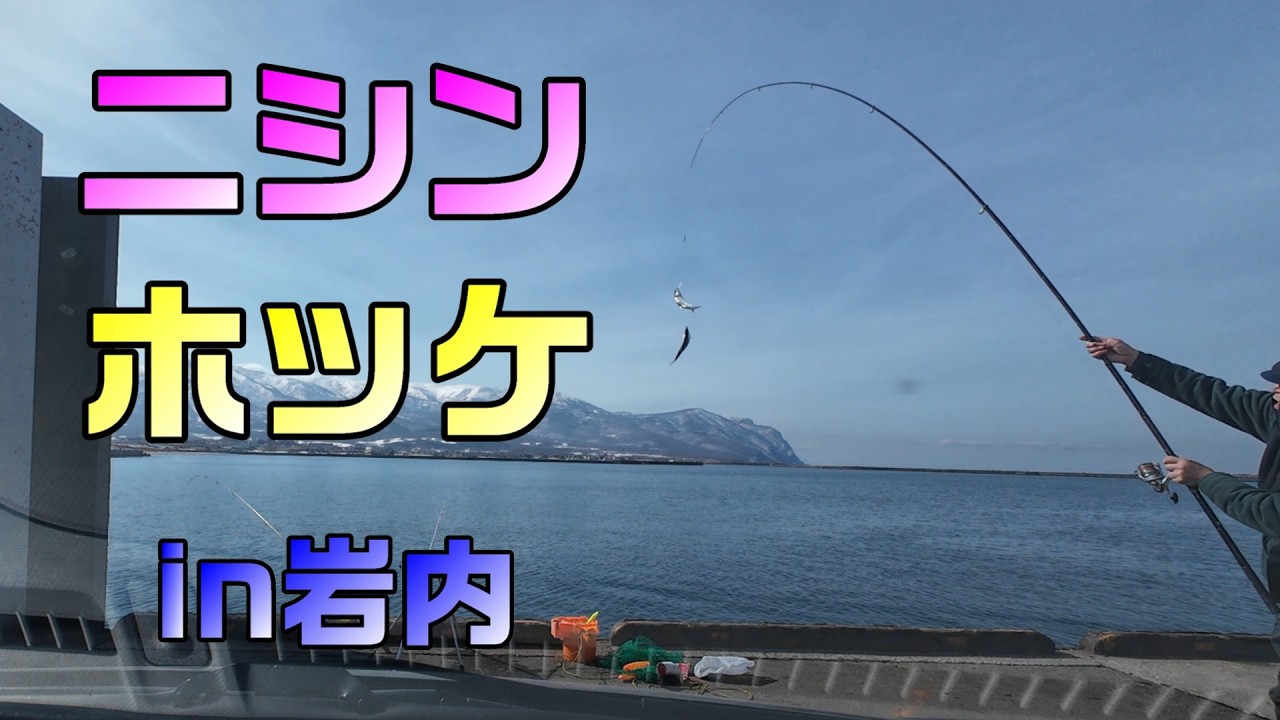 岩内ホッケ・ニシン事情