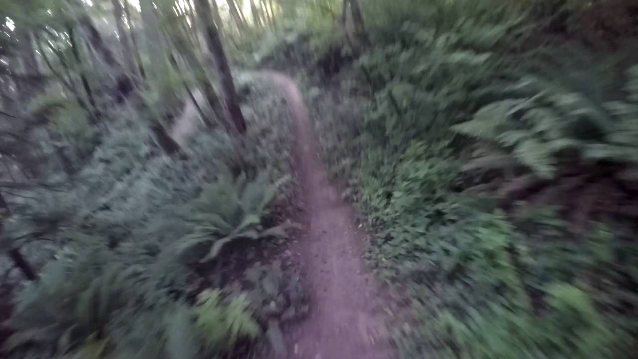 Kamikaze DH