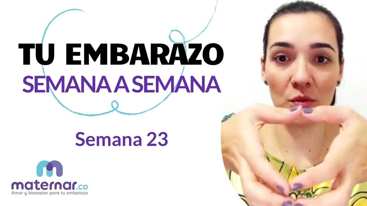 23-я неделя | Ваша беременность по неделям | Maternar.co