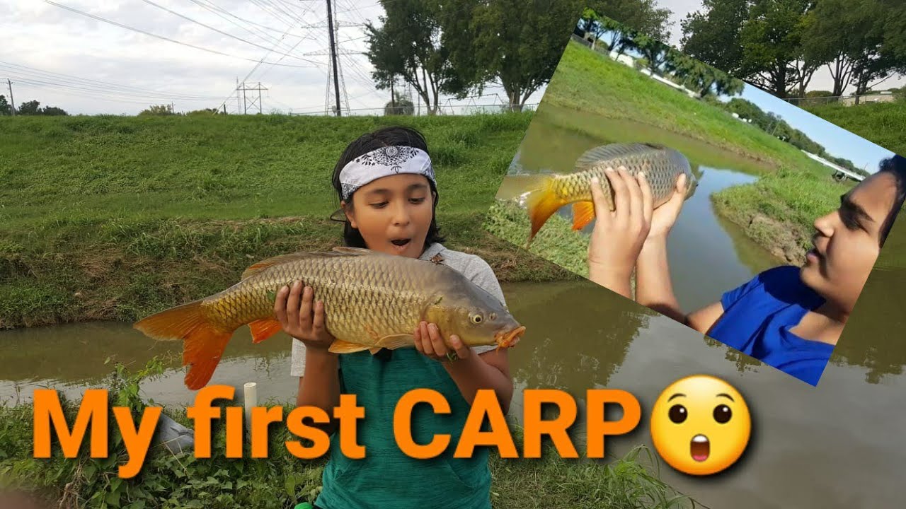 Carp fishing in Houston,TX