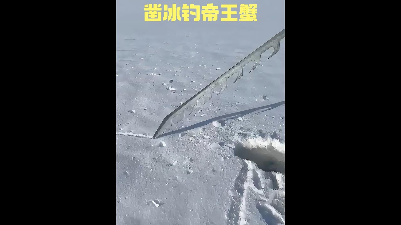 阿拉斯加漁民在冰天雪地中鑿冰釣帝王蟹，卻又毫不猶豫放掉 #冰釣 #釣魚 #釣魚人 #螃蟹 #帝王蟹